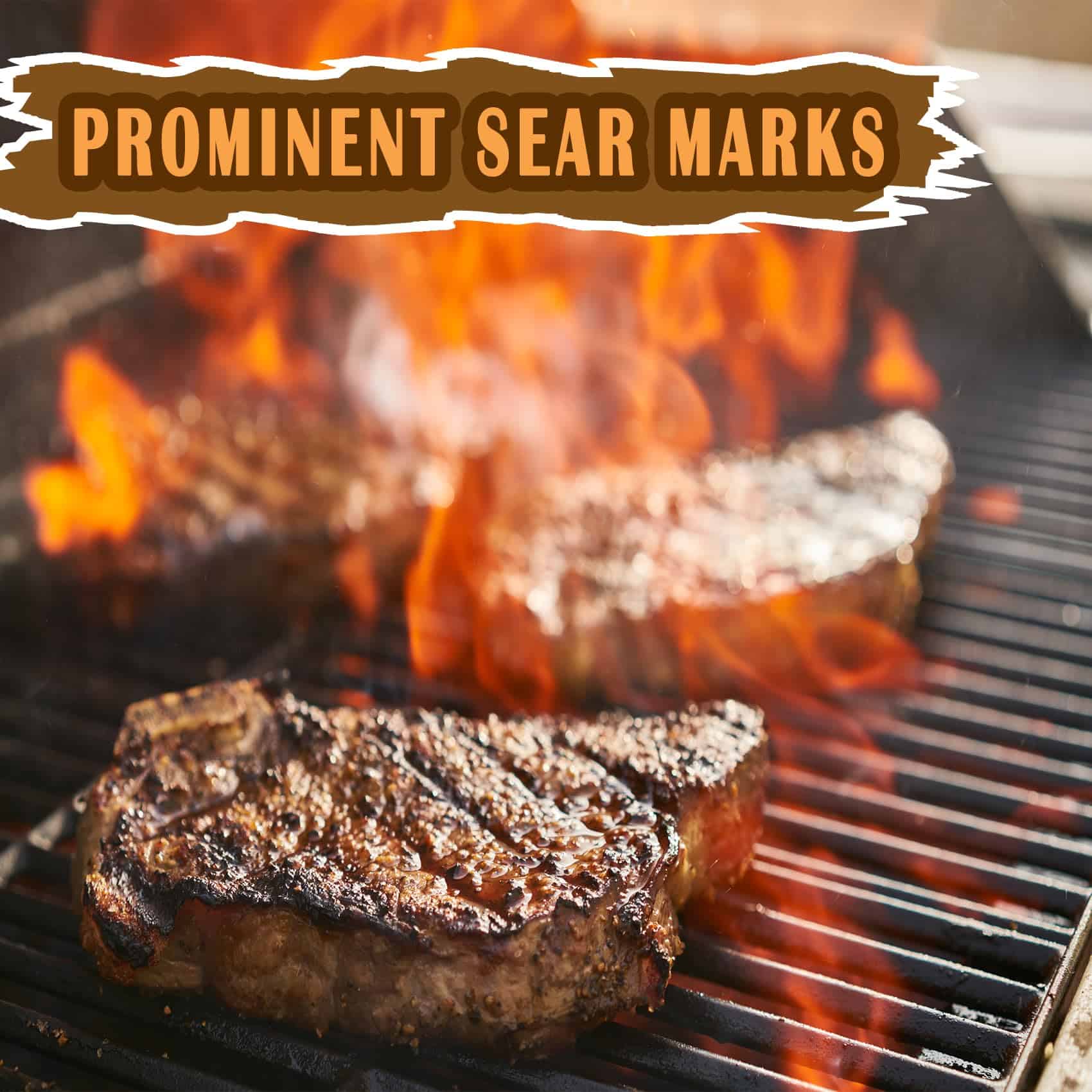 Rejillas de Cocina SafBbcue 16 15/16" para Charbroil - Imagen 7