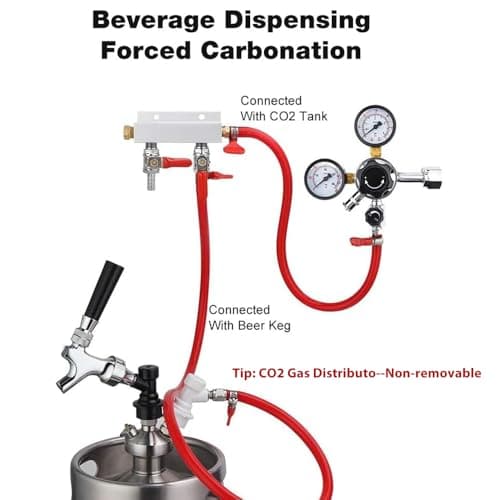 FERRODAY 2 Way Gas Manifold 5/16" Barbed Integrated Check - Imagen 6