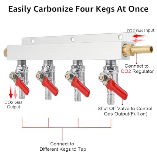 Ferroday 4 Way Gas Manifold 5/16" Barbed Integrated Check - Imagen 3