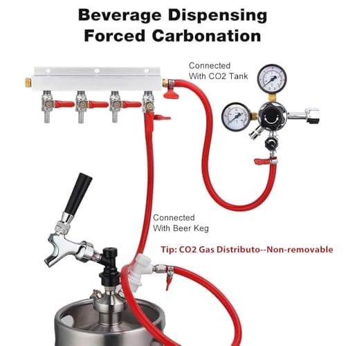 Ferroday 4 Way Gas Manifold 5/16" Barbed Integrated Check - Imagen 7