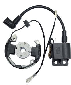 Kit de Estator, Bobina de Encendido y Rotor Joygowe para 50