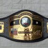 Cinturón réplica del campeón de peso pesado de la NWA Dome