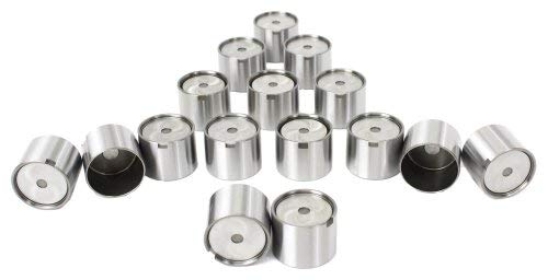 Kit Levantadores de Válvulas DNJ LFK16960 para 1991-2004