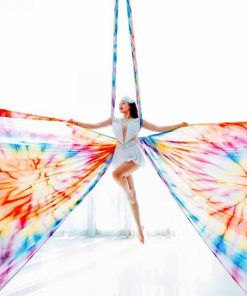 F.Life Aerial Silks 13 Yards Yoga Hammock Kit For Home