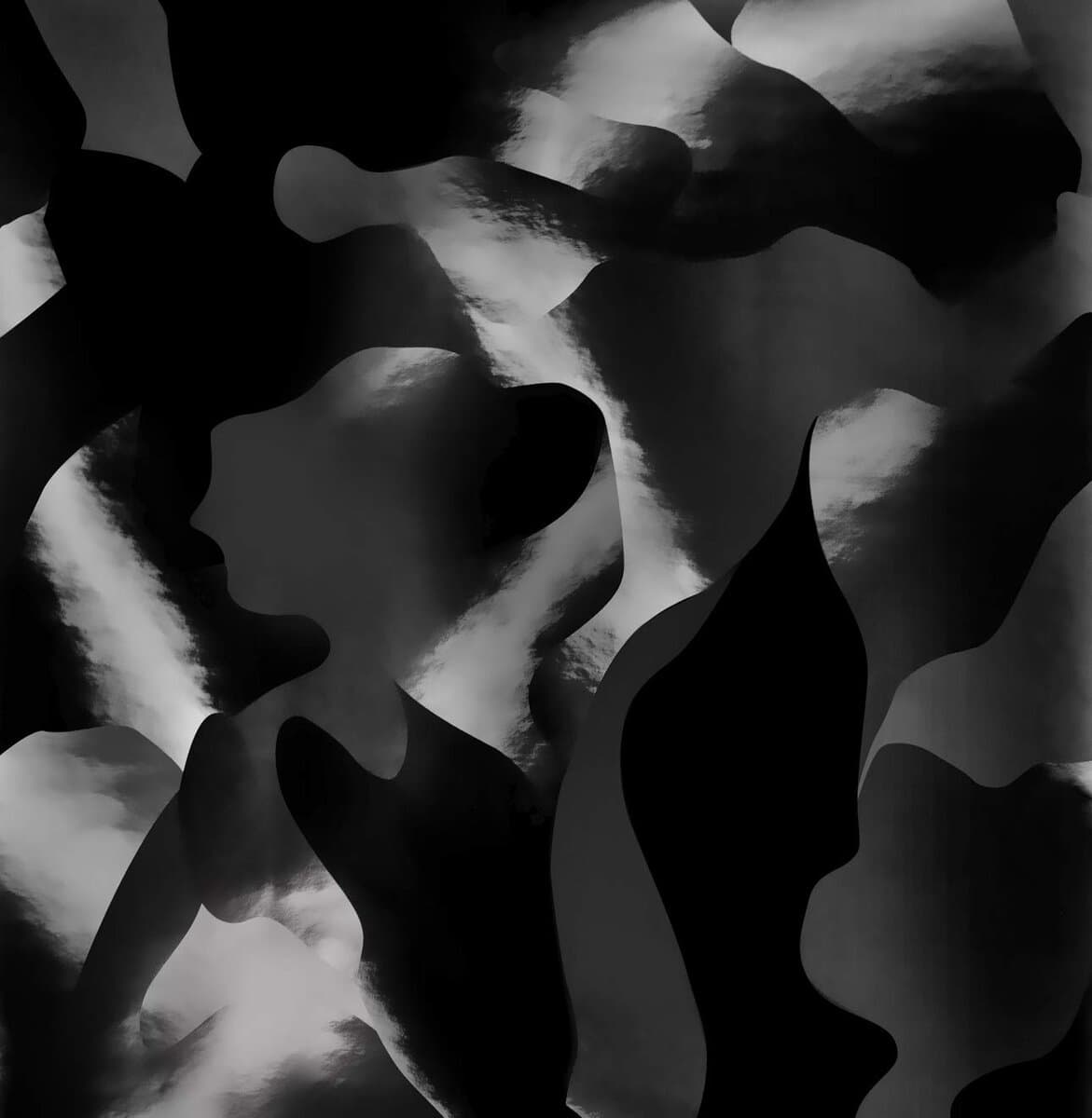 Vinilo Envoltura Camuflaje Edición Stealth VViViD+ (25ft x - Imagen 9