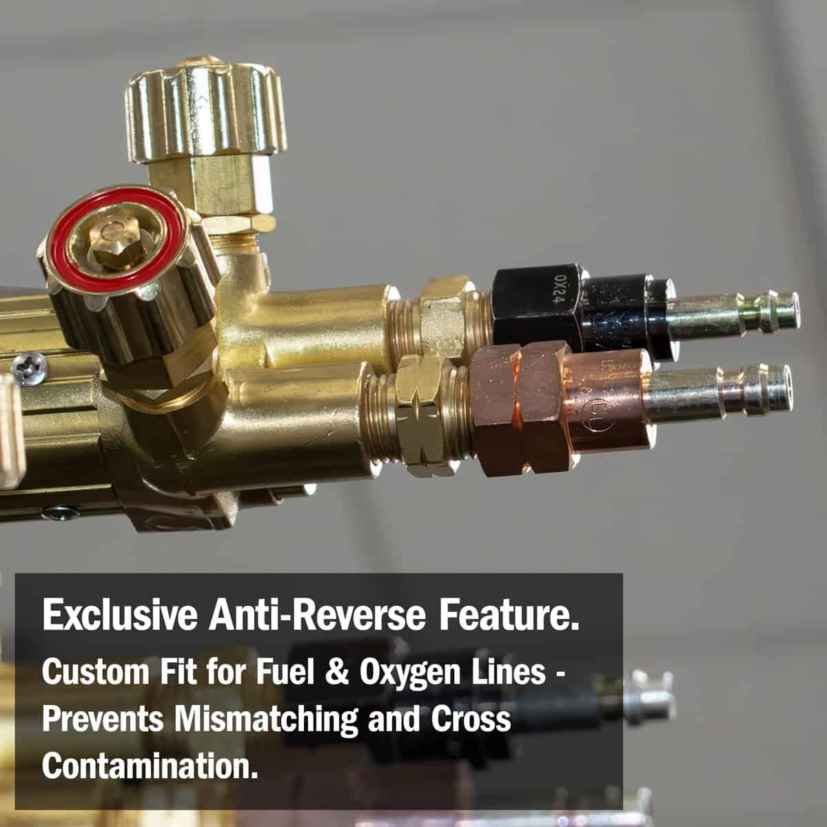 Conjunto de Acoplador Rápido de Antorcha a Manguera de - Imagen 6