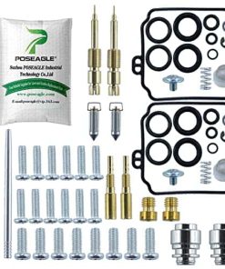 POSEAGLE 2 Pack Kits de Reconstrucción de Carburador para V