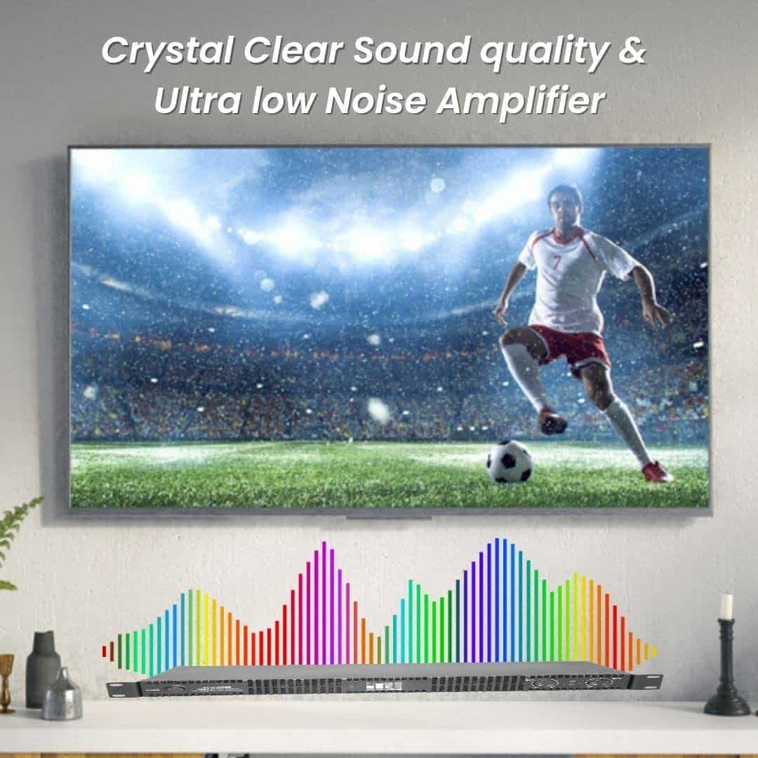 Amplificador Digital de Alto Rendimiento de 2 Canales - Imagen 5