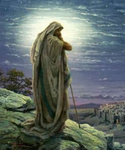 [Puzzlelife] Rompecabezas de 1000 Piezas "Oración de Jesús"