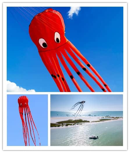 Cometa grande de pulpo parafole de 7M Roja con mango y - Imagen 3