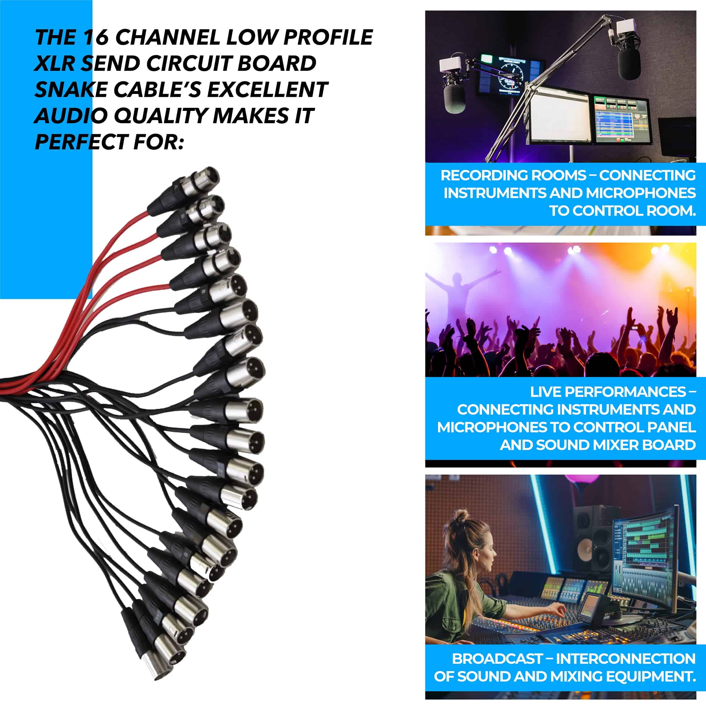 Cable Serpiente de Circuito XLR de 16 Canales de Perfil - Imagen 6