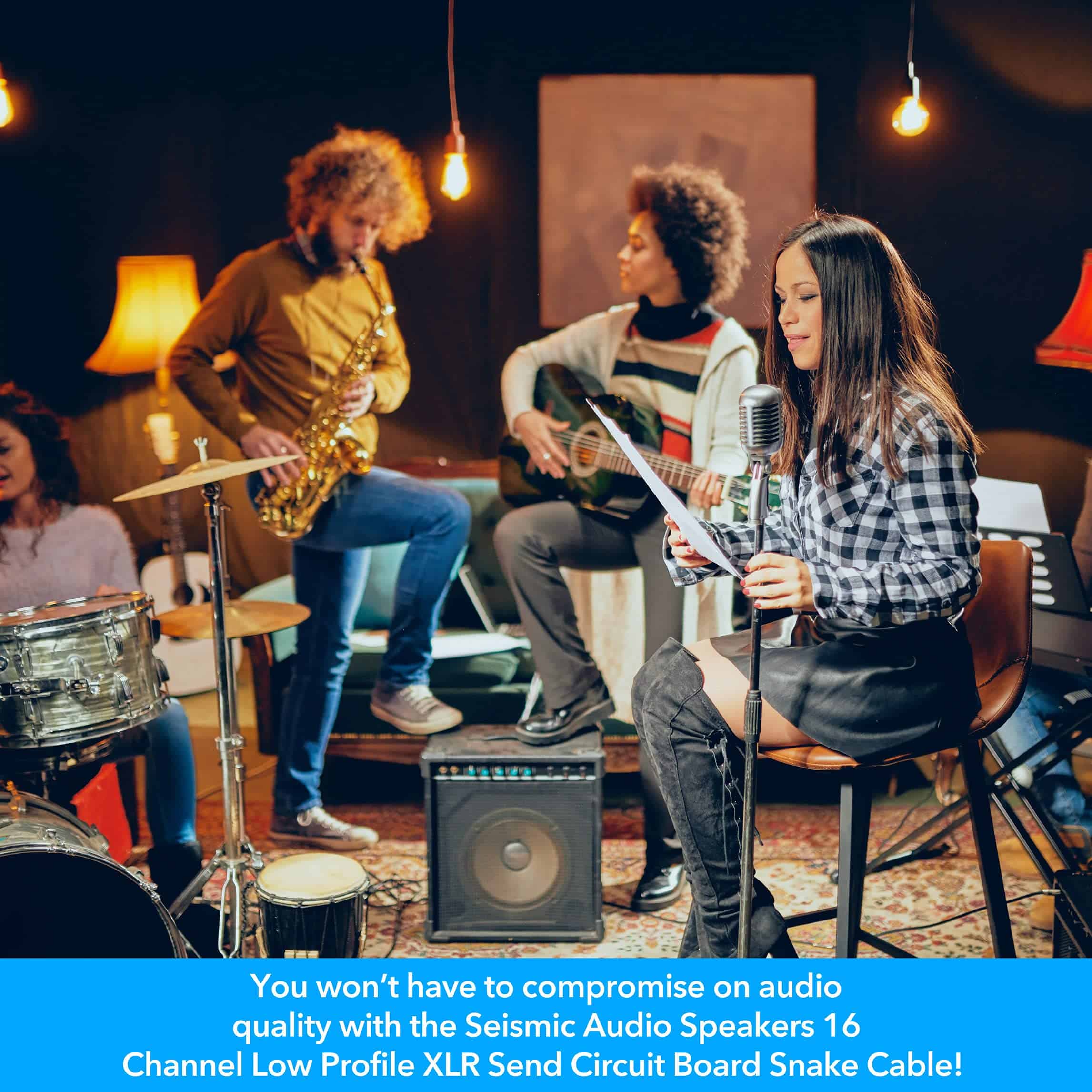 Cable Serpiente de Circuito XLR de 16 Canales de Perfil - Imagen 7