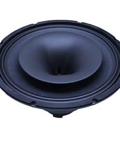 Seismic Audio - CoAx-12- Altavoz Coaxial de 12 Pulgadas 300