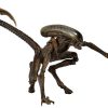 NECA Aliens - Figura de Acción Dog Alien de la Serie 3 de 7"