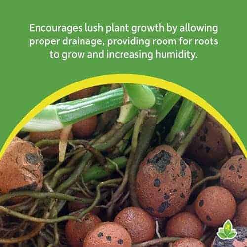 Falso Fondo de Josh's Frogs - Piedras de Arcilla Expandida - Imagen 5