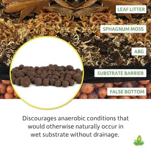 Falso Fondo de Josh's Frogs - Piedras de Arcilla Expandida - Imagen 6