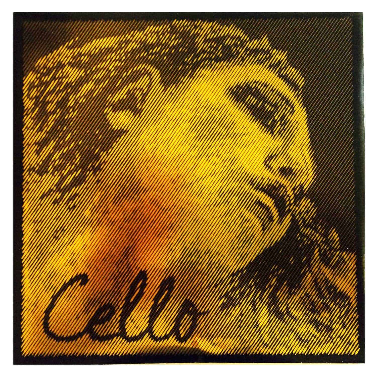 Conjunto de cuerdas para cello Pirastro Evah Pirazzi 4/4