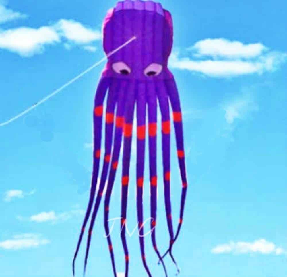 Cometa pulpo parafoil ultra grande de 300 pulgadas con - Imagen 6