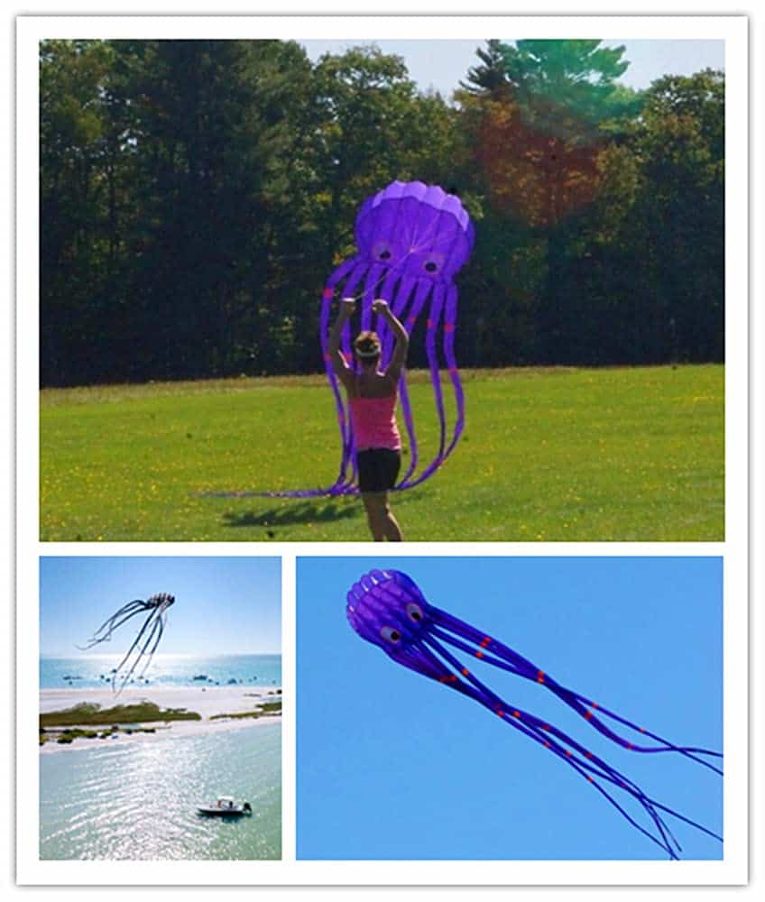 Cometa pulpo parafoil ultra grande de 300 pulgadas con - Imagen 3