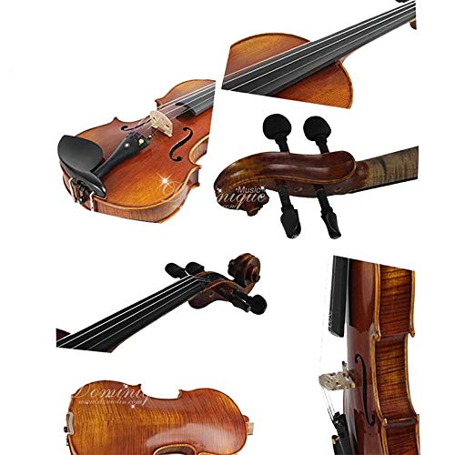 Violín D Z Strad LC101 con estuche, reposacabezas, arco y