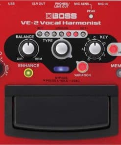 Pedal de Eco Vocal BOSS VE-2 para Cantantes Guitarristas |
