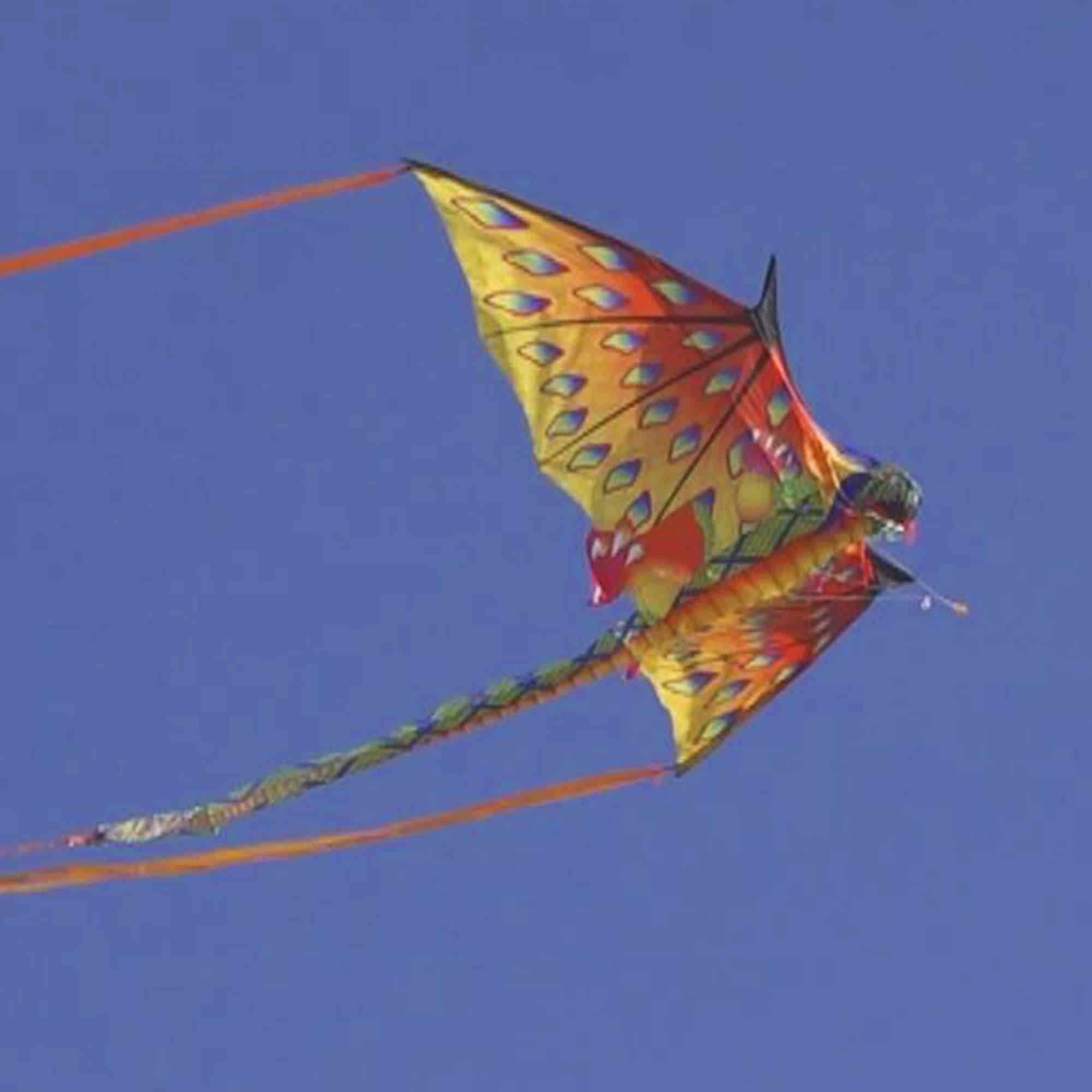 Cometa de Nylon Super Size 3D Dragón Verde WindNSun, 76 - Imagen 6