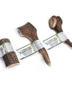 Mordedor Natural para Perros Antos Antler - Grande