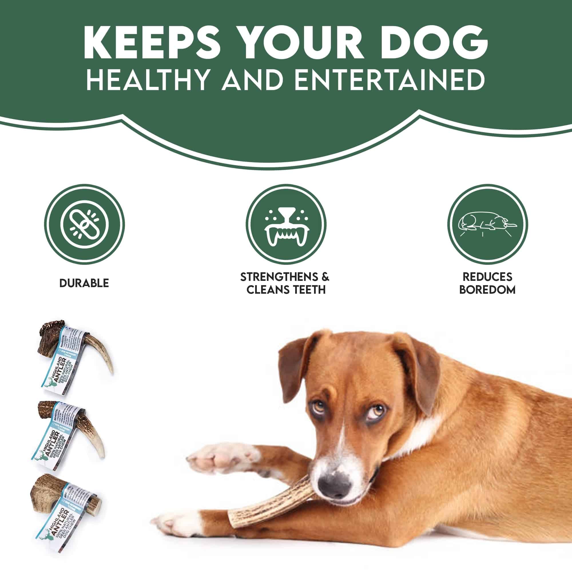 Mordedor Natural para Perros Antos Antler - Grande - Imagen 4