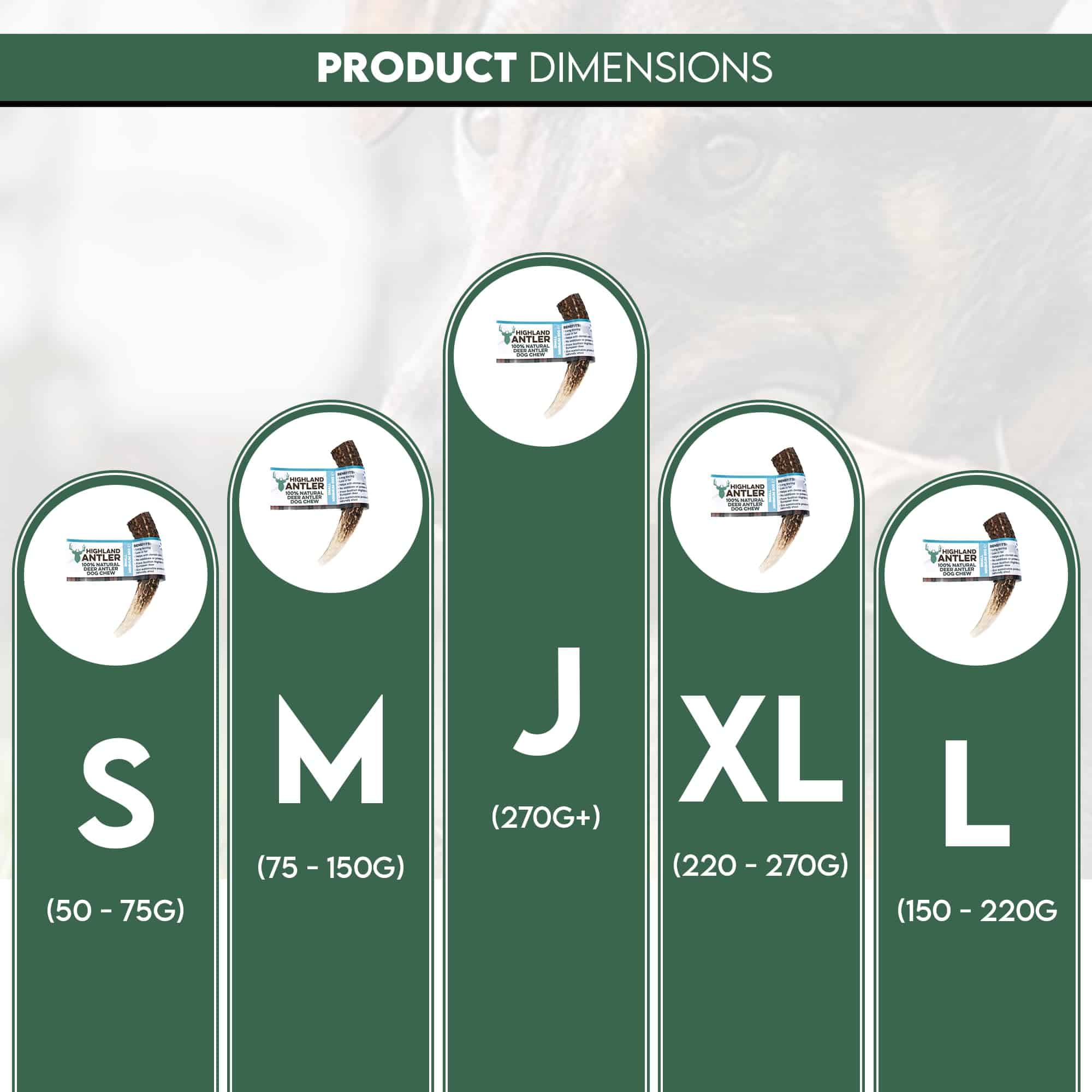 Mordedor Natural para Perros Antos Antler - Grande - Imagen 6