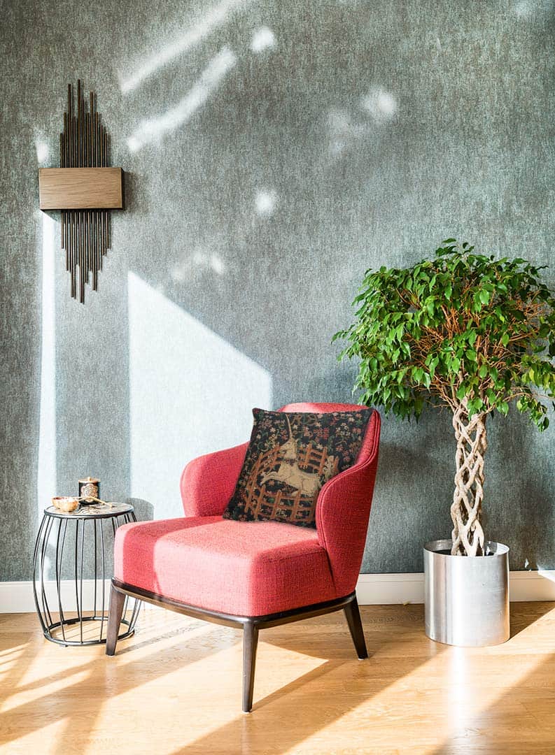 Funda de Almohada para Sofá Charlotte Home -Unicornio - Imagen 9