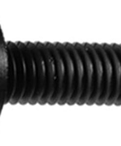 1000 Tornillos de Placa de Licencia con Cabeza de Pan