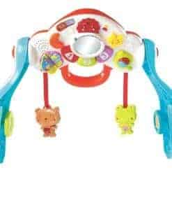 VTech Gimnasio 3-en-1 Lil' Critters Baby Basics