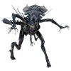 NECA - Aliens - Figura de acción ultra deluxe de la Reina