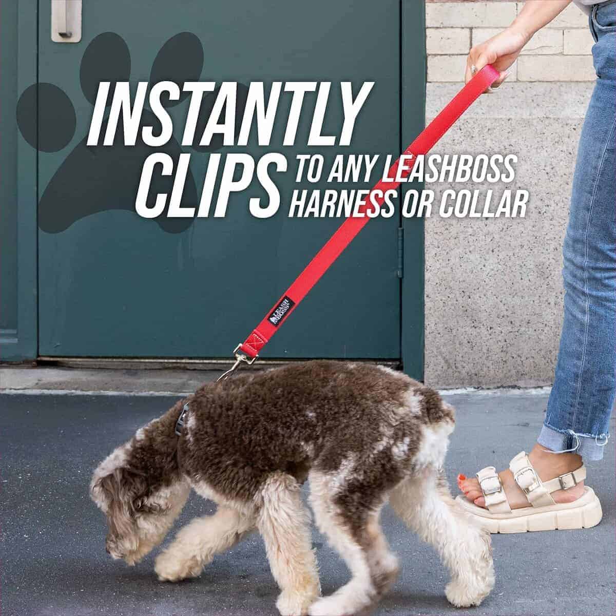 Correa corta para perros Leashboss para entrenamiento de - Imagen 10