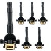ENA Juego de 6 Bobinas de Encendido Compatible con BMW 320I