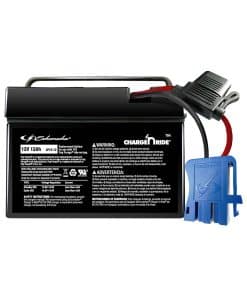 Batería eléctrica Schumacher de 12V para Juguetes