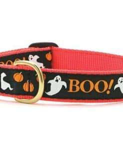Collar para perro Up Country Boo Tamaño Mediano 1 pulgada
