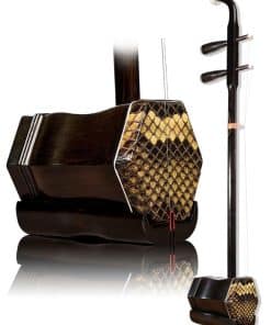 Violín Chino de 2 Cuerdas Landtom Profesional de Ébano