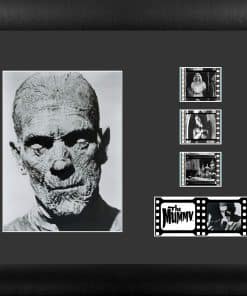 The Mummy (Boris Karloff 1932) Universal Monsters FILMCELLS