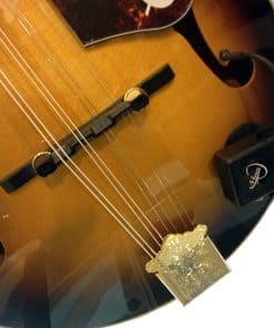 Myers Pickups Mandolin Pickup con Micro-Gooseneck Flexible