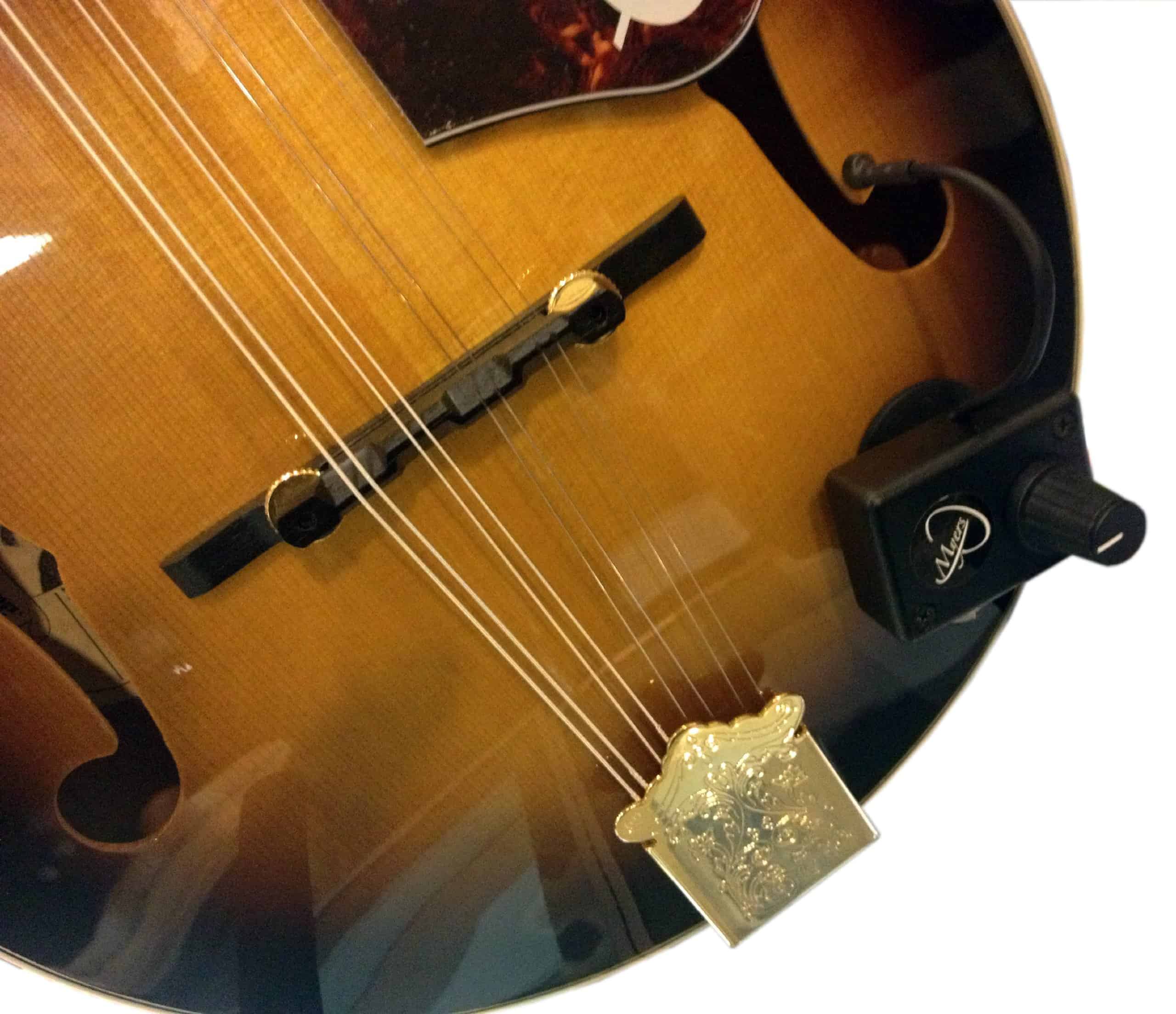 Myers Pickups Mandolin Pickup con Micro-Gooseneck Flexible