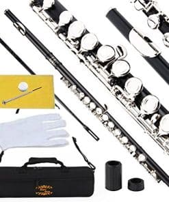 Flauta Cerrada Glory con Estuche, Varilla de -Negro/Plata