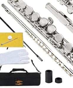 Flauta C Glory con Agujeros Cerrados Con Estuche, Varilla