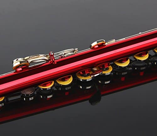 Flauta Glory Cerrada en Do Con Estuche, Varilla de - Imagen 8