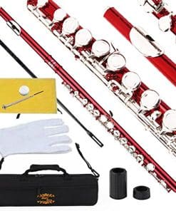 Flauta Glory Cerrada en Do Con Estuche, Varilla de