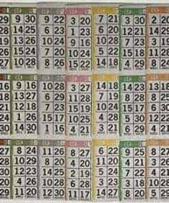 Juego de Cartones de Bingo de American Games - 3 Cartones -