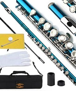 Flauta Cudio Glory con Estuche, Varilla de Afinación y