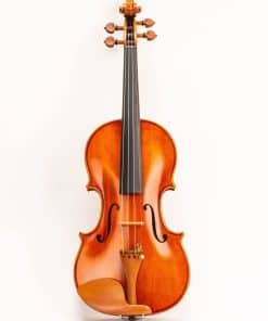 Violín D Z Strad 1/2 tamaño Modelo 250 con Cuerdas