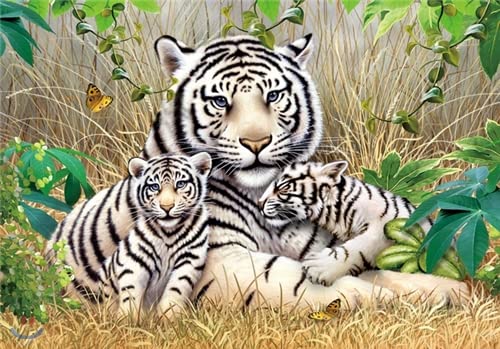 Rompecabezas Puzzle Life de 1000 piezas de una familia de