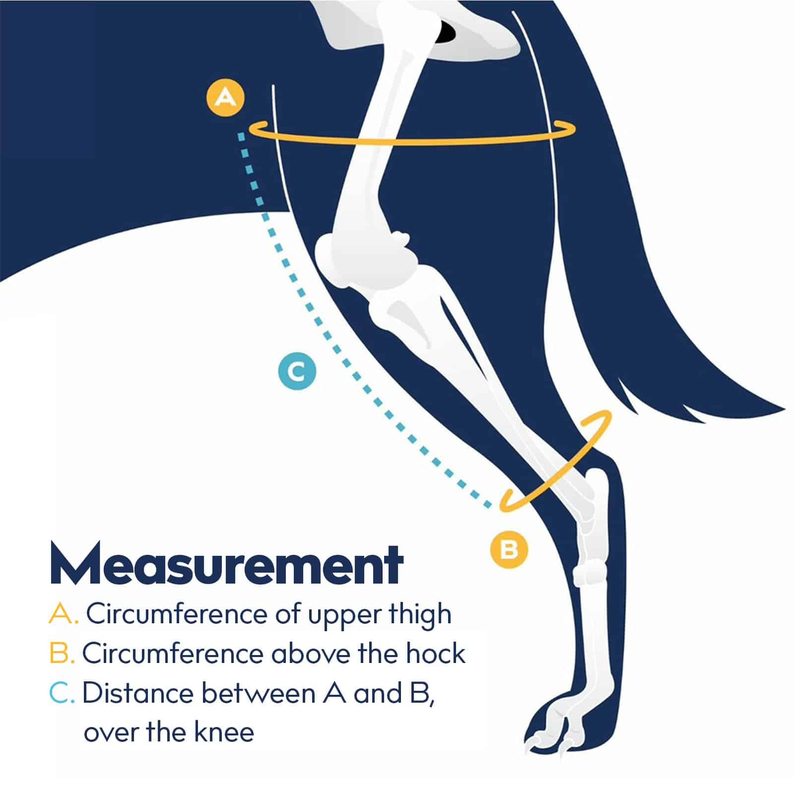 Balto Jump CCL Brace - Férula para rodilla de perro - Con - Imagen 5